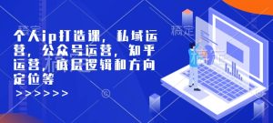 个人ip打造课，私域运营，公众号运营，知乎运营，底层逻辑和方向定位等-赚钱驿站