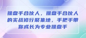 操盘手合伙人,操盘手合伙人的实战修行聚集地,手把手带你成长为专业操盘手-赚钱驿站