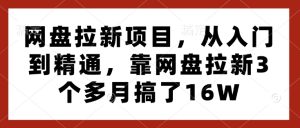 网盘拉新项目,从入门到精通,靠网盘拉新3个多月搞了16W-赚钱驿站