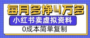 小红书虚拟资料项目,0成本简单复制,每个月多挣1W【揭秘】-赚钱驿站