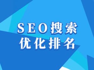 抖音搜索SEO教程,抖音SEO搜索优化排名-赚钱驿站