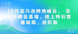12月亚马逊跨境峰会, 亚马逊峰会直播,线上特训营基础版,进阶版-赚钱驿站