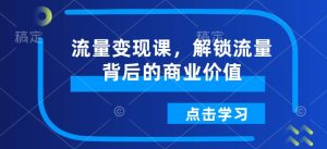 流量变现课,解锁流量背后的商业价值-赚钱驿站