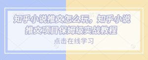 知乎小说推文怎么玩，知乎小说推文项目保姆级实战教程-赚钱驿站