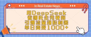 用DeepSeek做哪吒走秀视频,引爆流量涨粉利器,单日变现1k-赚钱驿站