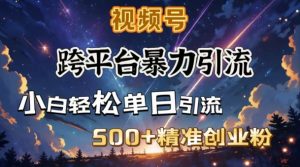 跨平台暴力引流,私域完美闭环,日引500+精准创业粉-赚钱驿站