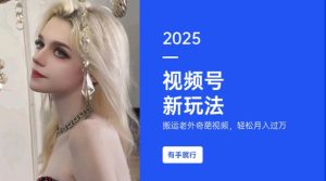 搬运老外奇葩视频，撸视频号分成计划收益，每天只需一小时，新手小白轻松月入过W-赚钱驿站