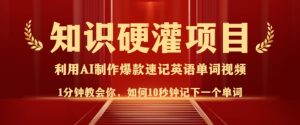 知识硬灌，10秒钟让你记住一个单词，3分钟一个视频，日入多张不是梦-赚钱驿站