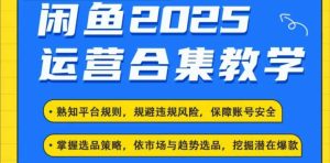 2025闲鱼电商运营全集,2025最新咸鱼玩法-赚钱驿站
