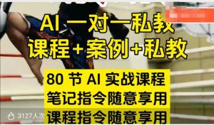 AI指令实战课,课程+案例,80节AI实战课程,笔记指令随意享用,课程指令随意享用-赚钱驿站