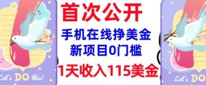 在线挣美金新项目,0门槛,1天收入115美刀,无脑操作,真正被动收入-赚钱驿站
