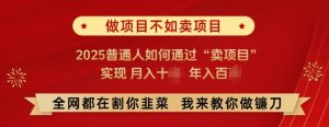 必看,做项目不如卖项目,2025普通人如何通过“卖项目”实现月入十个,年入百个-赚钱驿站