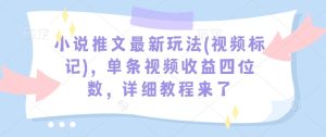 小说推文最新玩法(视频标记)，单条视频收益四位数，详细教程来了-赚钱驿站