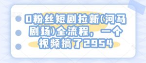 0粉丝短剧拉新(河马剧场)全流程，一个视频搞了2954-赚钱驿站