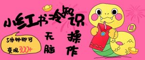 小红书冷知识账号,无脑复制粘贴,5分钟即可变现3张-赚钱驿站