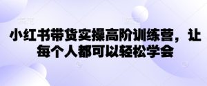 小红书带货实操高阶训练营,让每个人都可以轻松学会-赚钱驿站