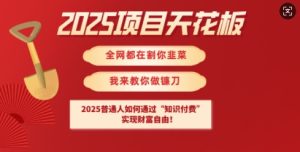 2025项目天花板普通人如何通过知识付费，实现财F自由【揭秘】-赚钱驿站