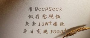用DeepSeek做疗愈视频,条条10W+爆款,单日变现多张-赚钱驿站