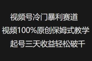 视频号冷门暴利赛道视频100%原创保姆式教学起号三天收益轻松破千-赚钱驿站