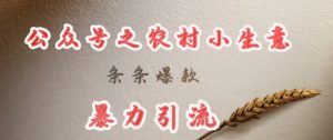 deepseek写农村小项目，条条爆款，暴力引流-赚钱驿站