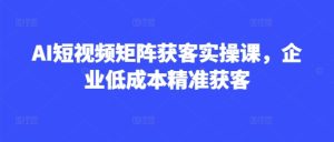 AI短视频矩阵获客实操课,企业低成本精准获客-赚钱驿站