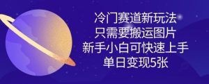 冷门赛道新玩法,只需要搬运图片,新手小白可快速上手,单日变现多张-赚钱驿站