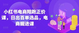 小红书电商陪跑正价课,小红书官方认证电商讲师教学,日出百单选品,电商掘进课-赚钱驿站