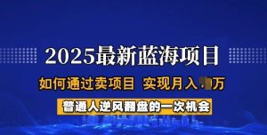 2025蓝海项目,普通人如何通过卖项目,实现月入过W,全过程【揭秘】-赚钱驿站