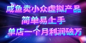 咸鱼卖小众虚拟产品,简单易上手,单店一个月利润破W-赚钱驿站