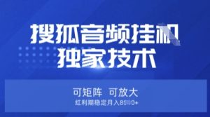 【搜狐音频挂G】独家技术,可矩阵可放大,红利期稳定月入8k【揭秘】-赚钱驿站