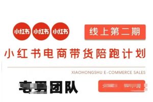 小红书电商带货课2期,月利润20个的小红书电商的有货源,无货源,虚拟产品,付费投流等整套玩法-赚钱驿站