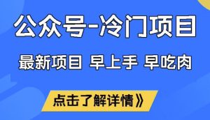 公众号冷门赛道,早上手早吃肉,单月轻松稳定变现1W【揭秘】-赚钱驿站