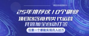 25年推荐这10个副业项目包含褂鸡类、代运营托管类、全自动打金类【揭秘】-赚钱驿站