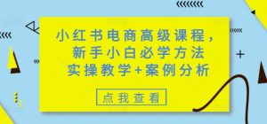 小红书电商高级课程,新手小白必学方法,实操教学+案例分析-赚钱驿站
