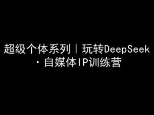 超级个体系列,玩转DeepSeek·自媒体IP训练营,deepseek教程-赚钱驿站