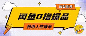 咸鱼0撸玩法利用人性售卖商品达到日挣2张的效果-赚钱驿站
