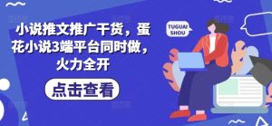 小说推文推广干货,蛋花小说3端平台同时做,火力全开-赚钱驿站