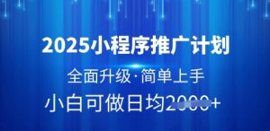 2025小程序推广计划，全面升级，简单上手，日均多张【揭秘】-赚钱驿站