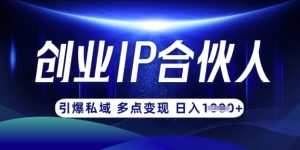 云帆·创业ip合伙人打造3.0,从0到1教你做网创,实现月入过W-赚钱驿站