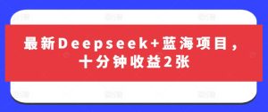 最新Deepseek+蓝海项目,十分钟收益2张-赚钱驿站