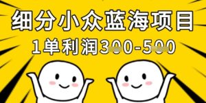 细分小众蓝海项目,一单利润3张,每月收入稳定过1w+-赚钱驿站