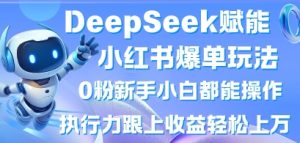 DeepSeek赋能小红书爆单玩法0粉新手小白都能操作,执行力跟上收益轻松上W,懒人勿做-赚钱驿站