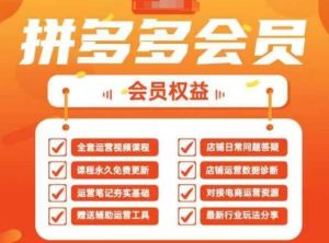 2025拼多多运营实战课,40节全流程教学,覆盖拼多多运营全链路-赚钱驿站