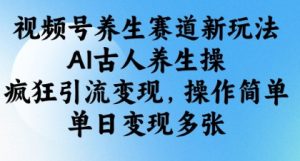 视频号养生赛道新玩法,AI古人养生操,疯狂引流变现,操作简单,单日变现多张-赚钱驿站