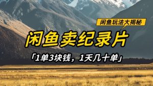 闲鱼卖纪录片1单3块钱,1天几十单,项目稳定有潜力-赚钱驿站