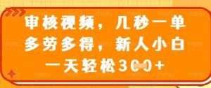 最新审核视频,几秒一单,多劳多得,新人小白一天轻松3张【揭秘】-赚钱驿站