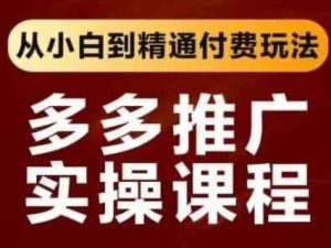 拼多多推广实操课程,从小白到精通付费玩法-赚钱驿站