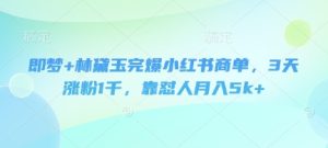 即梦+林黛玉完爆小红书商单,3天涨粉1千,靠怼人月入5k+-赚钱驿站