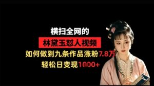 横扫全网的林黛玉怼人视频，如何做到九条作品涨粉7.8万，轻松日变现1k-赚钱驿站