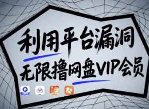 利用平台漏洞,无限撸网盘VIP会员,用户亲测有效!【漏洞原理+操作演示】-赚钱驿站
